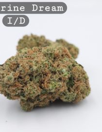 Indoor Tangerine Dream, The Dope Warehouse, Cannabis, THC, Bud, Weed