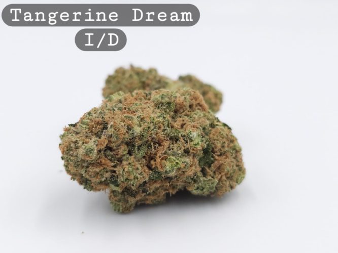 Indoor Tangerine Dream, The Dope Warehouse, Cannabis, THC, Bud, Weed