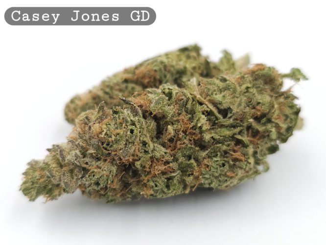 Greendoor Casey Jones_Grade AAA Cannabis_Cannabis bud and Flower_The Dope Warehouse