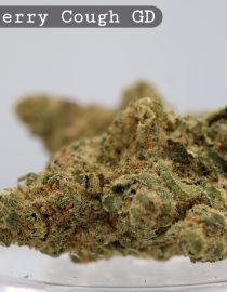 Greendoor Strawberry Cough_cannabis bud_Cannabis flower and bud_The dope warehouse