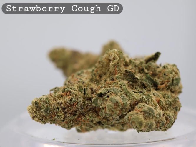 Greendoor Strawberry Cough_cannabis bud_Cannabis flower and bud_The dope warehouse