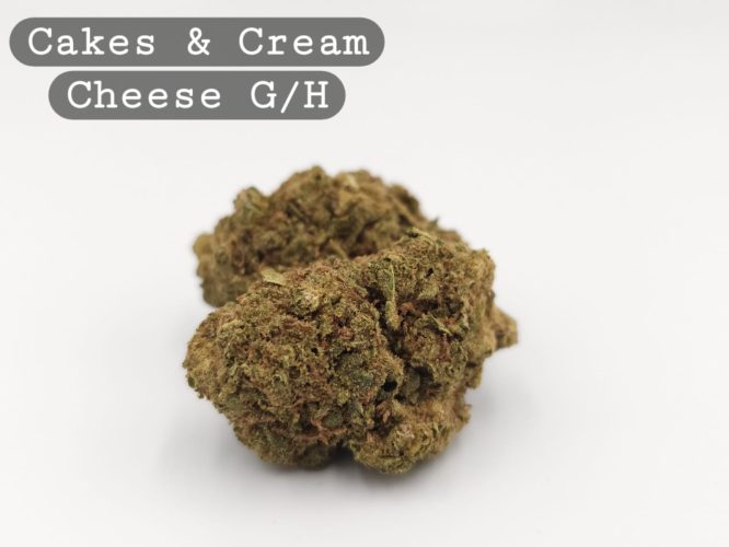 Greenhouse Cookies & Cream Cheese, The Dope Warehouse, Cannabis, THC, Bud, Weed