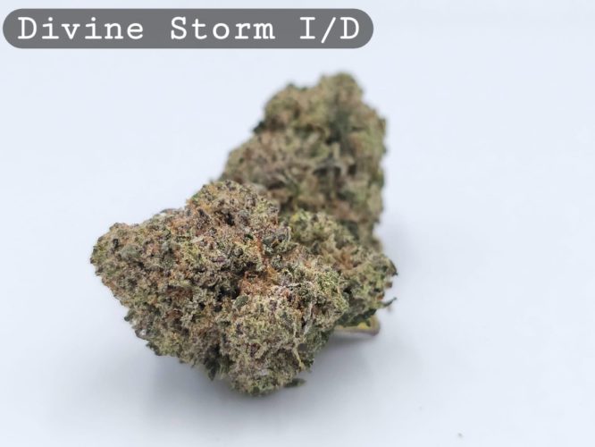 Indoor Divine Storm, The Dope Warehouse, Cannabis, THC, Bud, Weed