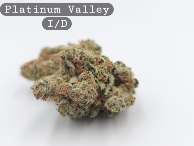 Indoor Platinum Valley, The Dope Warehouse, Cannabis, THC, Bud, Weed