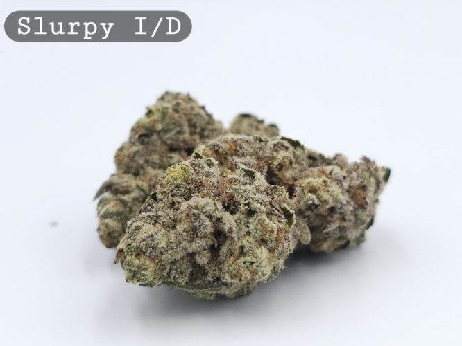 Indoor Slurpy, The Dope Warehouse, Cannabis, THC, Bud, Weed