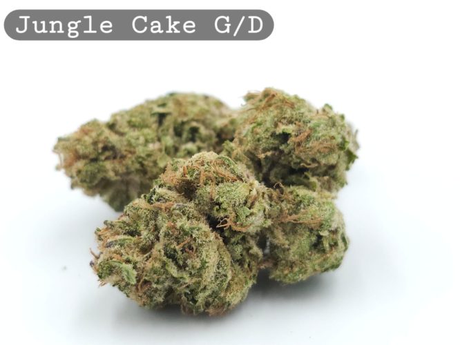 Greendoor Jungle Cake, The Dope Warehouse, Cannabis, THC, Bud, Weed