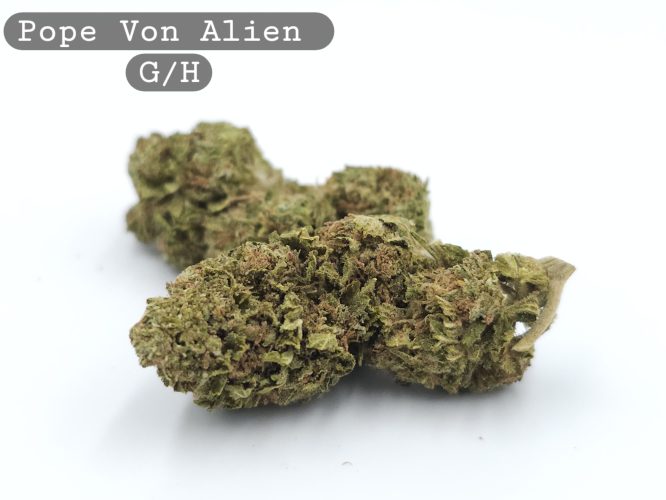 Greenhouse Pope Von Alien, The Dope Warehouse, Cannabis, THC, Bud, Weed