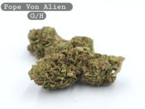 Greenhouse Pope Von Alien, The Dope Warehouse, Cannabis, THC, Bud, Weed