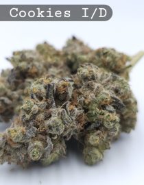 Indoor Astro Cookies, The Dope Warehouse, Cannabis, THC, Bud, Weed