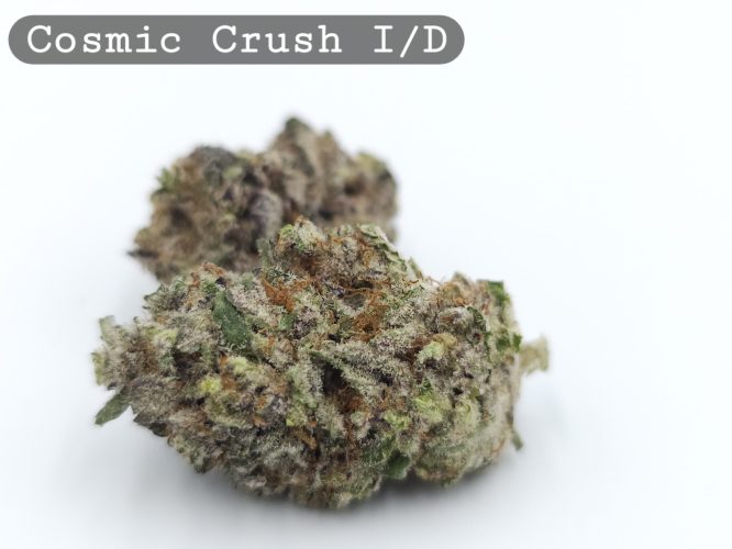 Indoor Cosmic Crush, The Dope Warehouse, Cannabis, THC, Bud, Weed