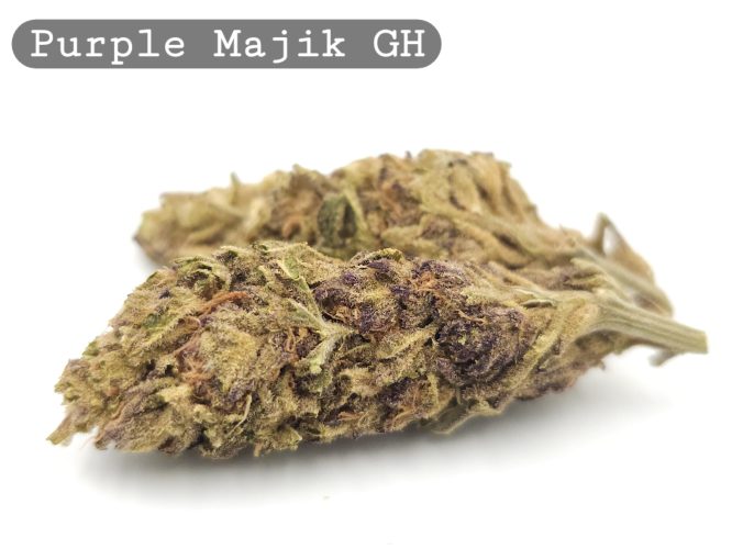 Green House Purple Majik per 2g_Cannabis Bud_The dope warehouse