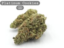 Greendoor Platinum Cookies, The Dope Warehouse, Cannabis, THC, Bud, Weed - The Dope Warehouse Greendoor Platinum Cookies, The Dope Warehouse, Cannabis, THC, Bud, Weed