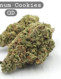 Greendoor Platinum Cookies, The Dope Warehouse, Cannabis, THC, Bud, Weed