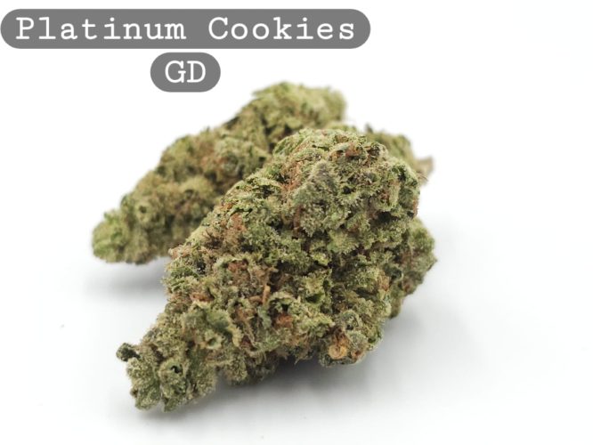 Greendoor Platinum Cookies, The Dope Warehouse, Cannabis, THC, Bud, Weed