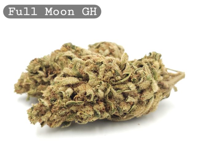 Greenhouse Full Moon, The Dope Warehouse, Cannabis, THC, Bud, Weed