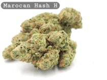 Indoor Morrocan Hash, The Dope Warehouse, Cannabis, THC, Bud, Weed - The Dope Warehouse Indoor Morrocan Hash, The Dope Warehouse, Cannabis, THC, Bud, Weed