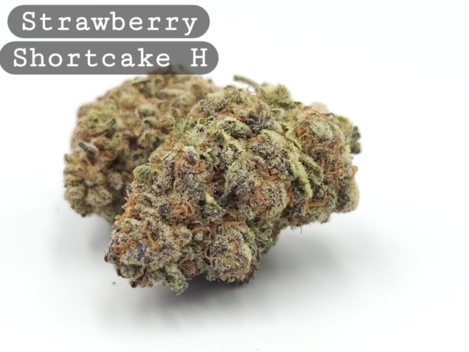 Indoor Strawberry Shortcake, The Dope Warehouse, Cannabis, THC, Bud, Weed