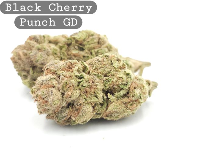 Black Cherry Punch, , The Dope Warehouse, Cannabis, THC, Bud, Weed