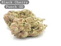 Black Cherry Punch, , The Dope Warehouse, Cannabis, THC, Bud, Weed - The Dope Warehouse Black Cherry Punch, , The Dope Warehouse, Cannabis, THC, Bud, Weed