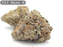 Indoor C13 Haze, The Dope Warehouse, Cannabis, THC, Bud, Weed