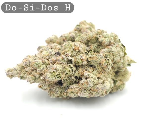 Do-Si-Dos, The Dope Warehouse, Cannabis, THC, Bud, Weed