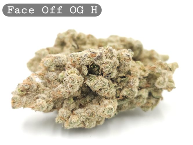 Face Off OG, The Dope Warehouse, Cannabis, THC, Bud, Weed
