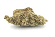 Outdoor Cali Orange per 2g_Cannabis Bud_The dope warehouse - The Dope Warehouse Outdoor Cali Orange per 2g_Cannabis Bud_The dope warehouse