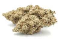 Greendoor AAA-Fantasy-Island_Cannabis-Bud_The-dope-warehouse - The Dope Warehouse Greendoor AAA-Fantasy-Island_Cannabis-Bud_The-dope-warehouse