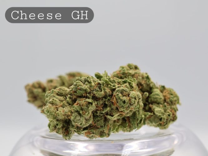 Greenhouse Cheese per 2g_Cannabis Bud_Cannabis Flower_The Dope Warehouse