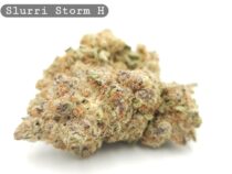 Indoor Slurri Storm_Cannabis Bud_The dope warehouse