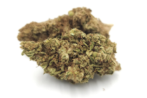 Outdoor Dawg Star_Buy Weed_Cannabis Bud_The Dope Warehouse