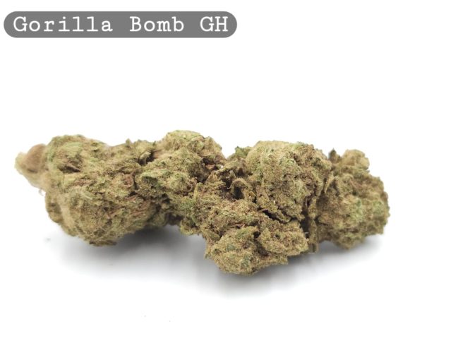 Greenhouse Gorilla Bomb_Cannabis Bud_The dope warehouse