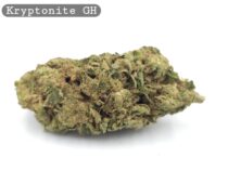Greenhouse Kryptonite_Cannabis Bud_The dope warehouse - The Dope Warehouse Greenhouse Kryptonite_Cannabis Bud_The dope warehouse