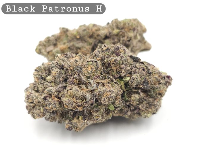 Indoor Black Patronus_Cannabis Bud_Hydro Cannabis_The dope warehouse