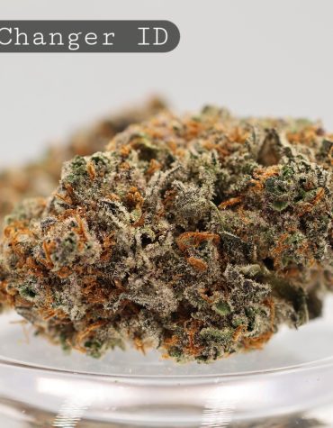 Indoor-Game-Changer_Cannabis-Flower_The-Dope-Warehouse
