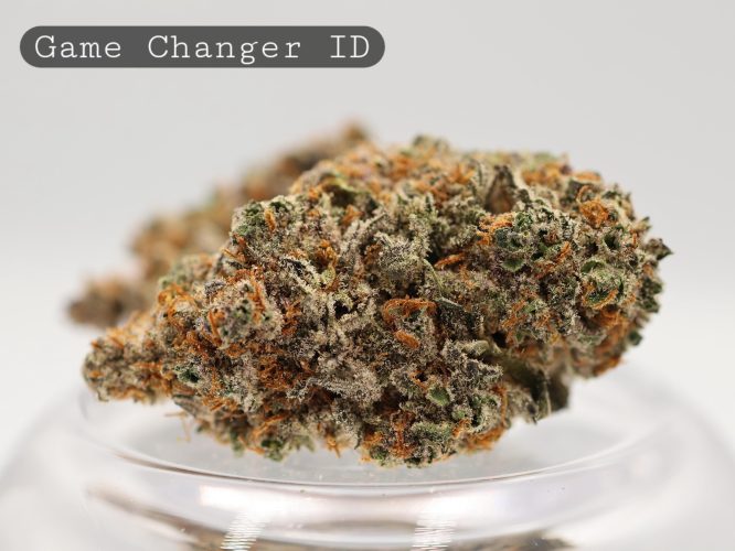 Indoor-Game-Changer_Cannabis-Flower_The-Dope-Warehouse