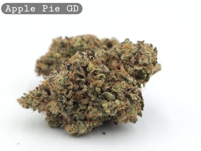 Greendoor Apple Pie_Cannabis Bud_weed_The dope warehouse