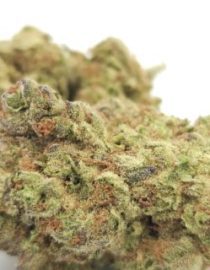 Greendoor Mandarin-Sunset_Cannabis-Bud__The-dope-warehouse-570x320