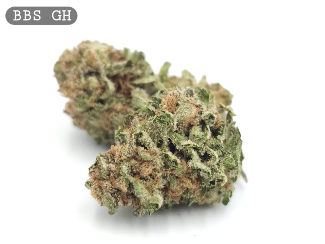 Greenhouse BBS_Cannabis-Bud_The-dope-warehouse