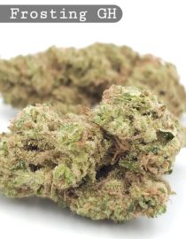 Greenhouse Banana Frosting-Skunkberry_Cannabis-Bud_The-dope-warehouse