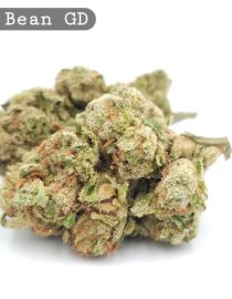 Greendoor Jilly Bean_Cannabis-Bud_The-dope-warehouse