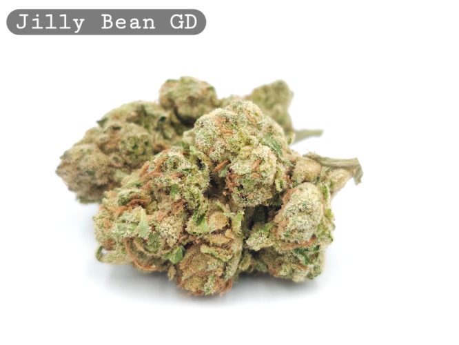 Greendoor Jilly Bean_Cannabis-Bud_The-dope-warehouse