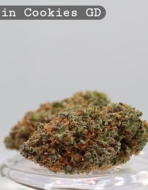 Greendoor Mandarin Cookies_Cannabis Bud_Buy Weed_Greendoor_The dope warehouse