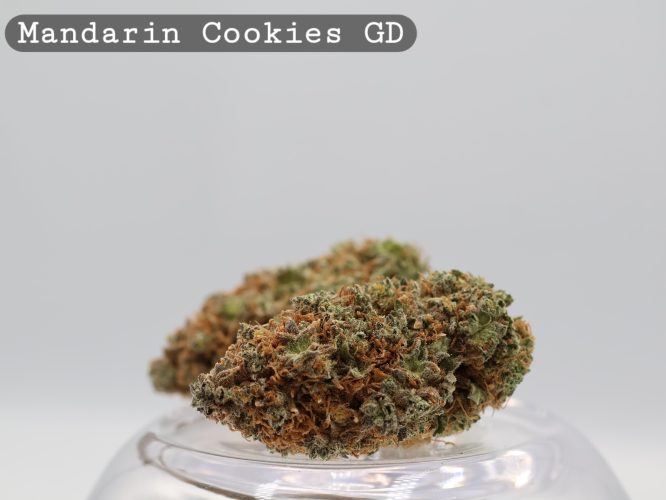 Greendoor Mandarin Cookies_Cannabis Bud_Buy Weed_Greendoor_The dope warehouse