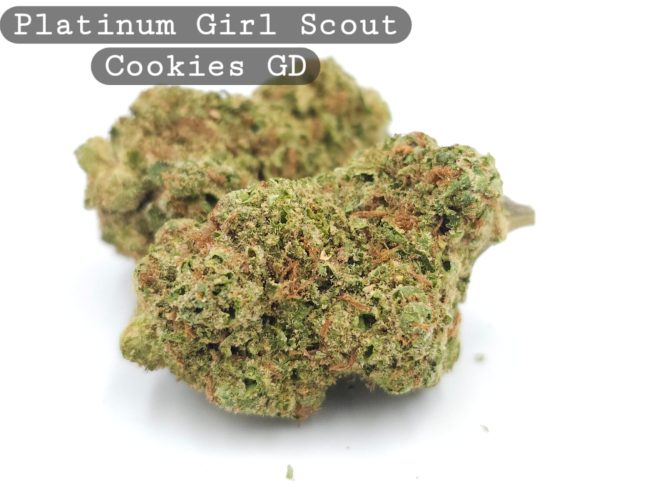 Greendoor Platinum Girl Scout Cookies_Cannabis-Bud_The-dope-warehouse