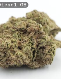 Greenhouse Sour Diesel_ Bud_Flower_Weed_Cannabis-Bud_The-dope-warehouse