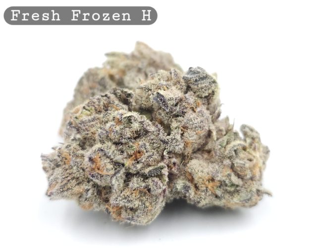 Indoor Fresh Frozen_Hyrdo Bud_Flower_Weed_Cannabis-Bud_The-dope-warehouse