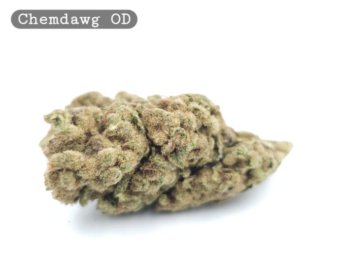 Outdoor Chemdawg_Cannabis-Bud_The-dope-warehouse