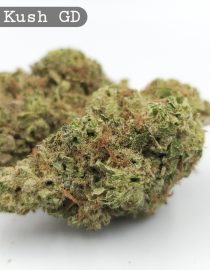 Greendoor Alien Kush_Cannabis-Bud_The-dope-warehouse