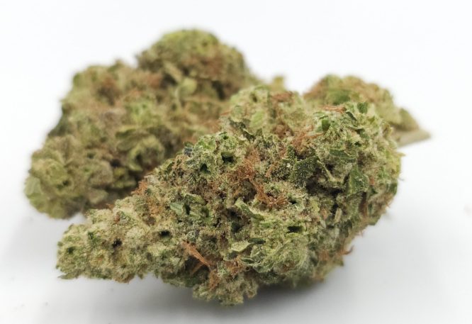 Greendoor Super Lemon Haze_Cannabis-Bud_The-dope-warehouse